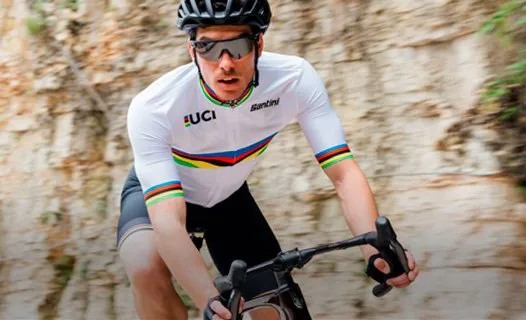 Коллекция UCI