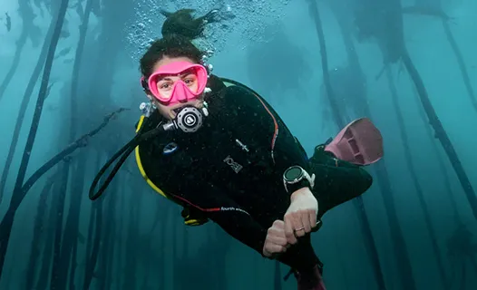 Buceo