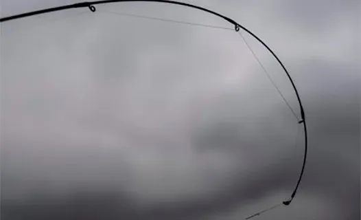 Wędki