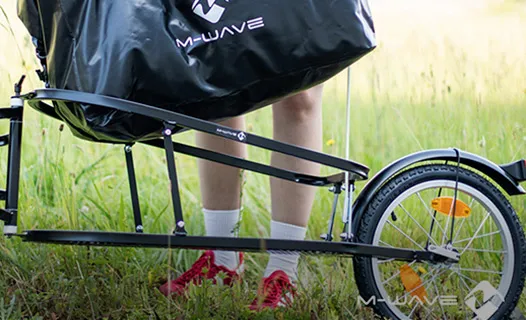 Carriers and storage