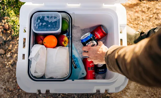 Camping coolers