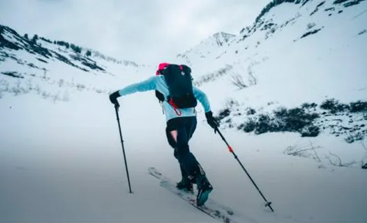 Hiihtosauvat