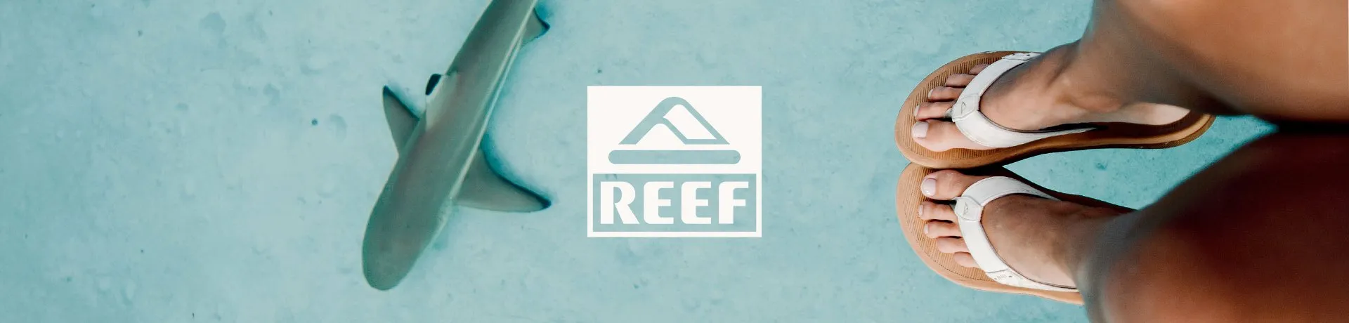 Reef