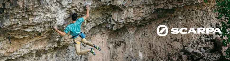 Scarpa