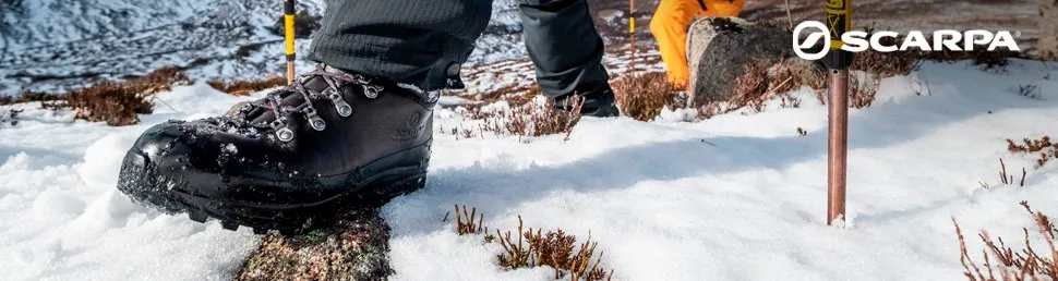 Scarpa