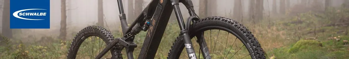 Schwalbe