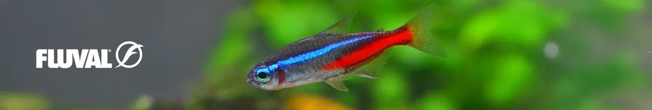 Fluval
