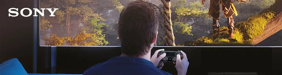 Sony