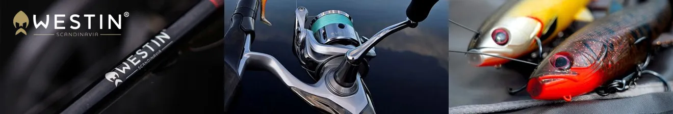 Westin