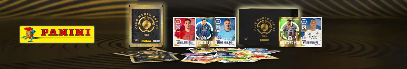 Panini