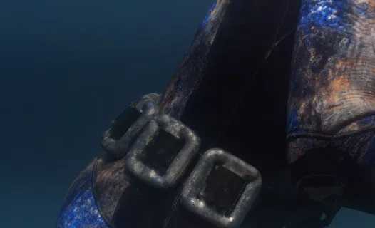 Dykning vægtsystemer