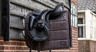 Конская сбруя