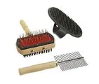 Cleanliness and hygiene