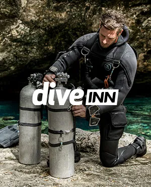 Diveinn