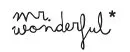 Mr wonderful