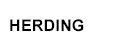 Herding