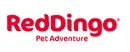 Red dingo