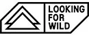 Looking For Wild